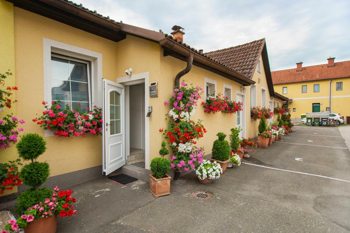 Auszeit Leoben 1 Mit Terasse Und Gratis Parkplatz Apartment Exterior photo
